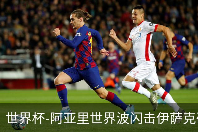 世界杯-阿亚里世界波闪击伊萨克破门 半场瑞典2-1突尼斯